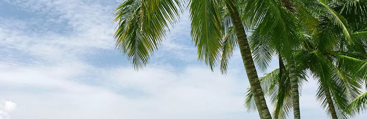 促销卡片背景